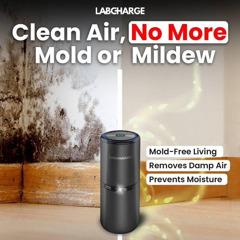 Lab Charge LabCharge Small Ionic Air Purifier for Home & Bedroom – Silent HEPA Filter – Covers 250 Sq Ft - Free Cleaner for Pets, Hair, Smoke, Dust, Odors & Dander – Compact & Black Design - Pack of 2 - Image 5